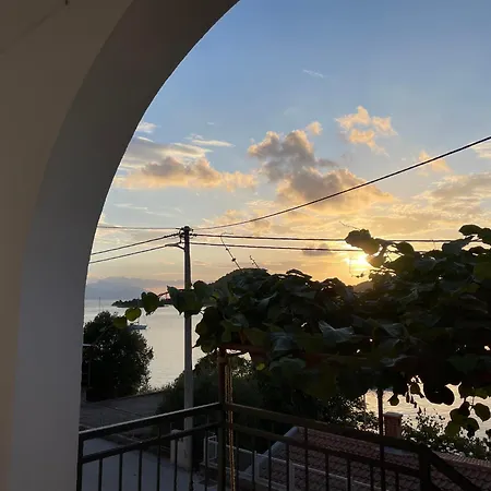 Ponta Planika 19 *